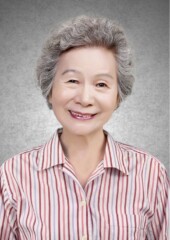 34 ピンクストライプシャツ